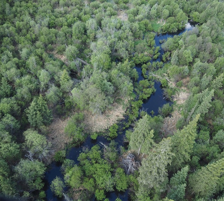 River running through a thick forest from above