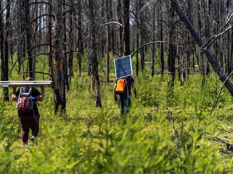 Men walking through the forest with monitoring equipment