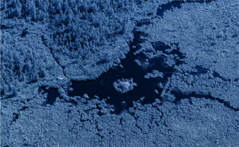 Blue washed image of grasslands from above