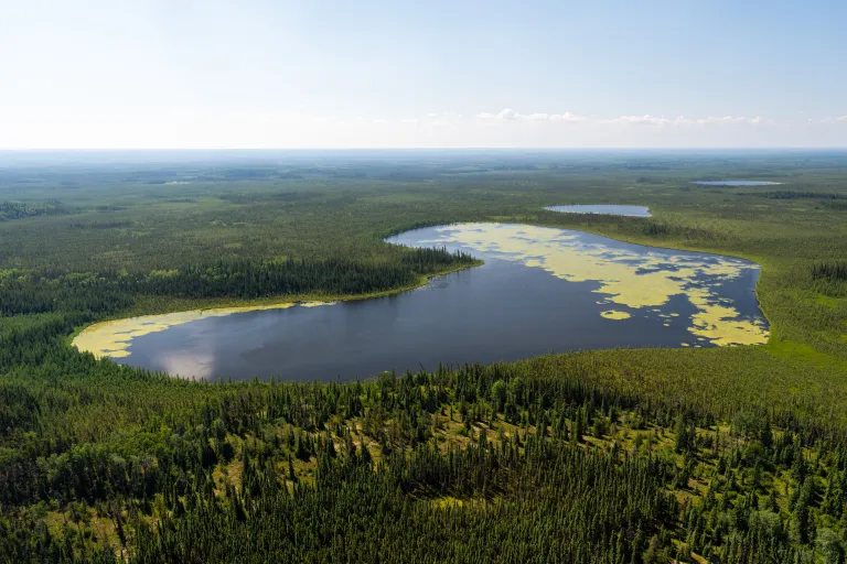 Aerial shot of heart shaped lake with green algae