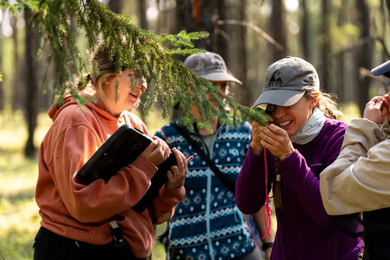 Erike Hatfield using hand lens to examine needles