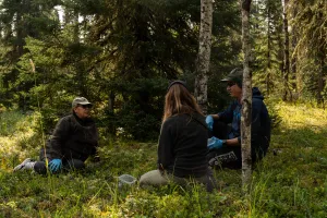 Grace and Dale (Conklin Métis) and Nicole (WBEA) picking berries