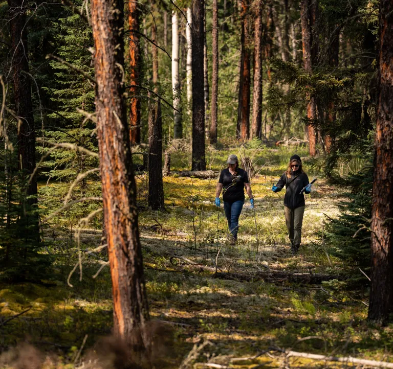 Kim and Nicole WBEA searching for berries