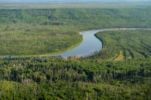 Green landscape with river