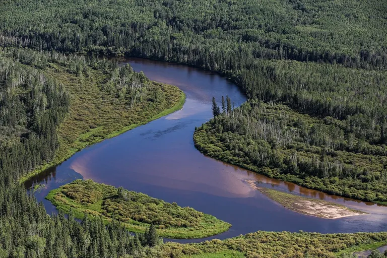 Alberta river winding through forest