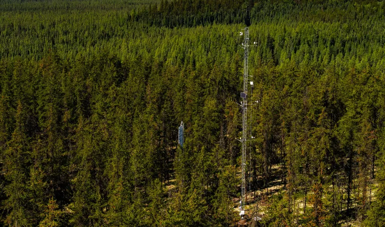 Meterological monitoring tower in the forest