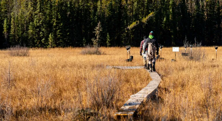 People walking on board walk in collecting samples