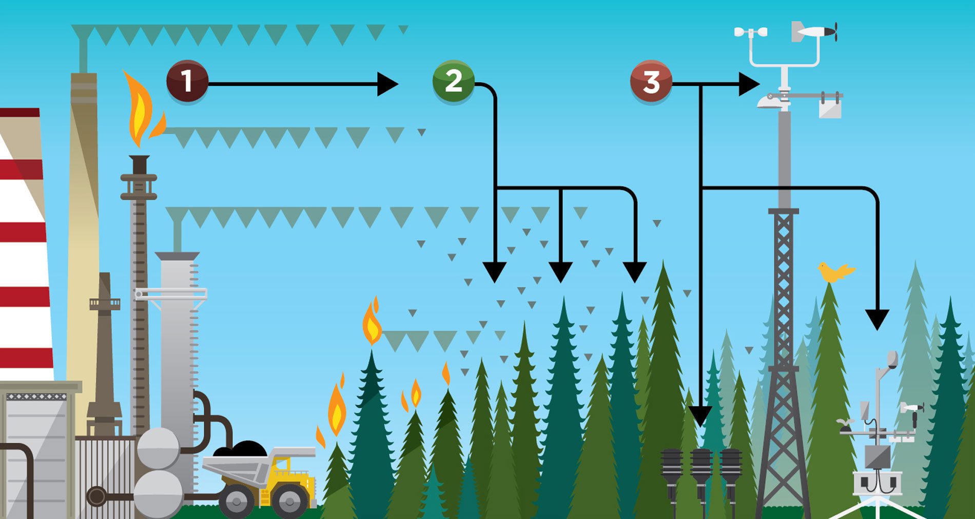 WBEA TEEM infographic